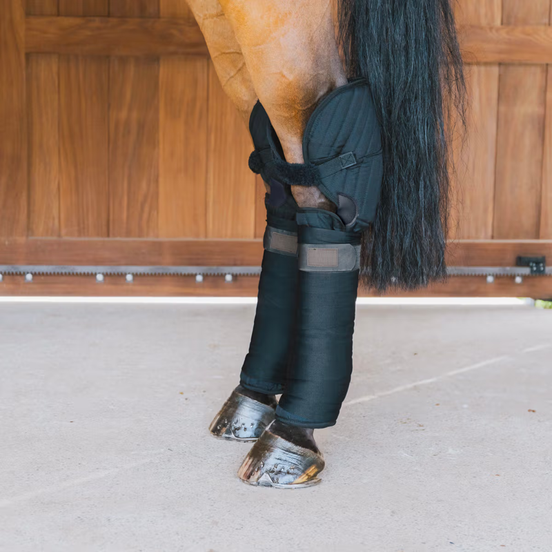 Kentucky Transport and Stable Bandage Pad with Hock Protection - Black