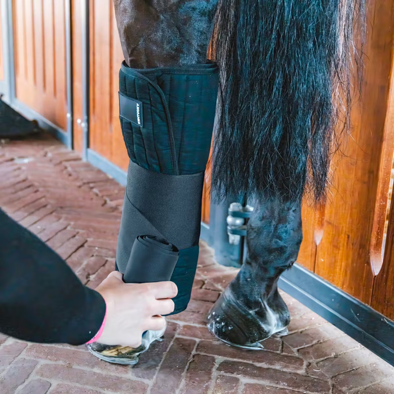 Kentucky Stable Bandage Wraps - Black-2