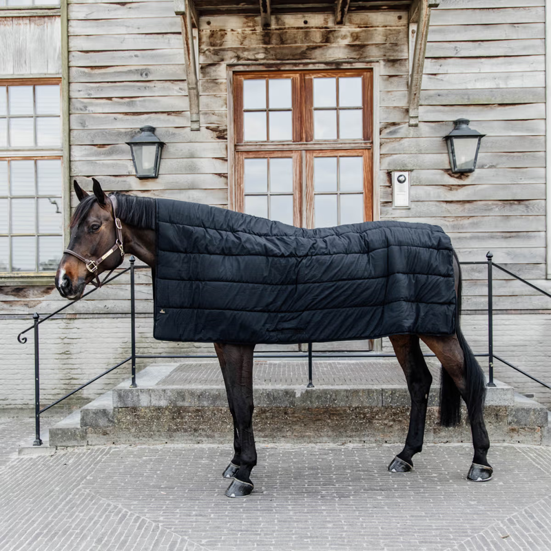 Kentucky Duvet Under Rug - Black