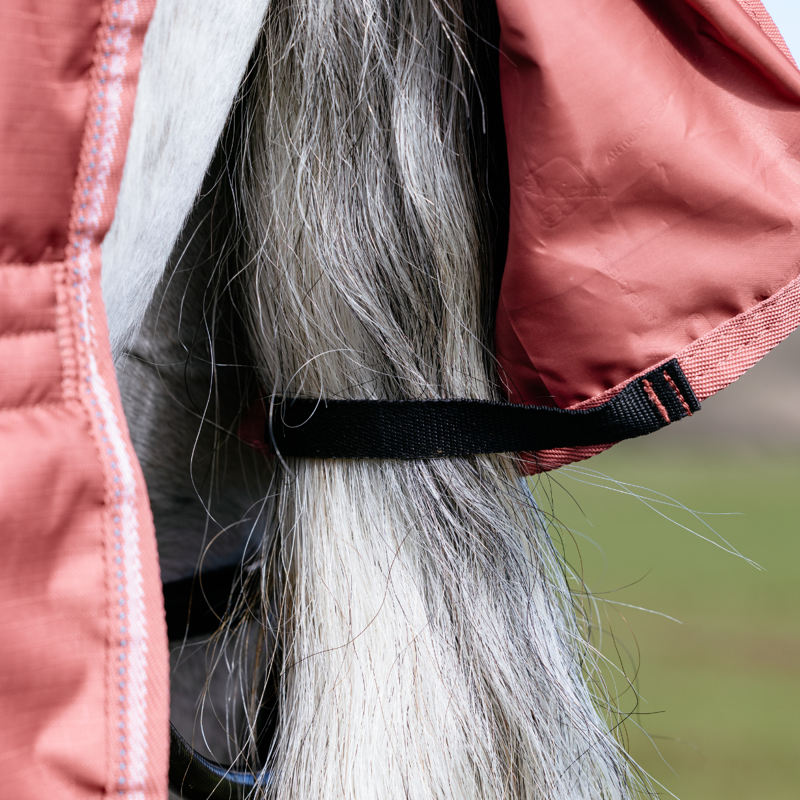 LeMieux Arika Star 0g Turnout Rug  - Spiced Earth-2