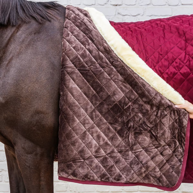 Kentucky Show Rug - Bordeaux-2
