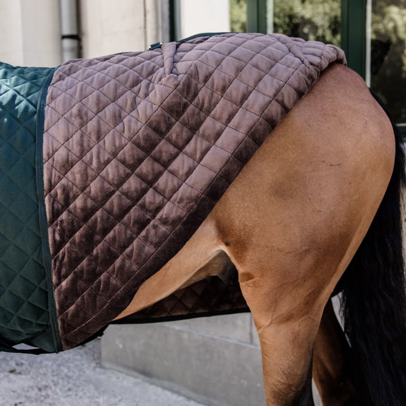 Kentucky Show Rug - Dark Green-2