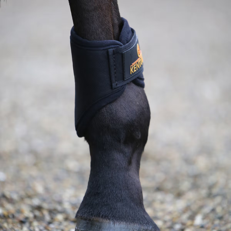 Kentucky 3D Spacer Brushing Boots - Black-2