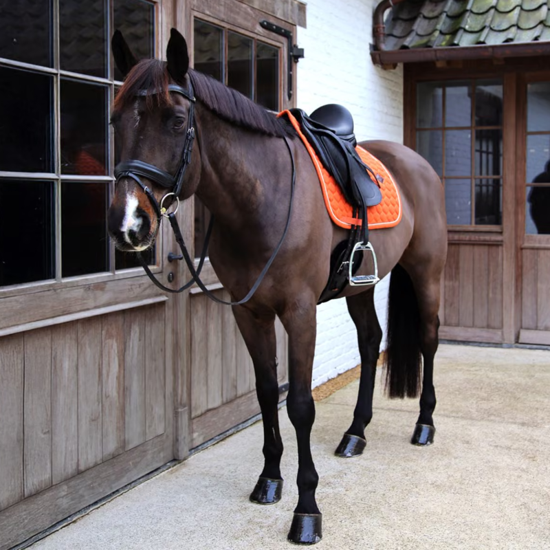 Kentucky Melange Dressage Saddlepad Full - Orange-2