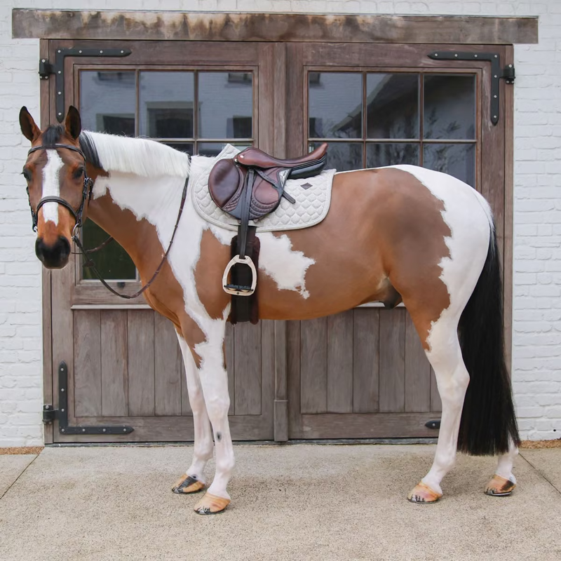 Kentucky Melange Jumping Saddlepad Full - Beige-2