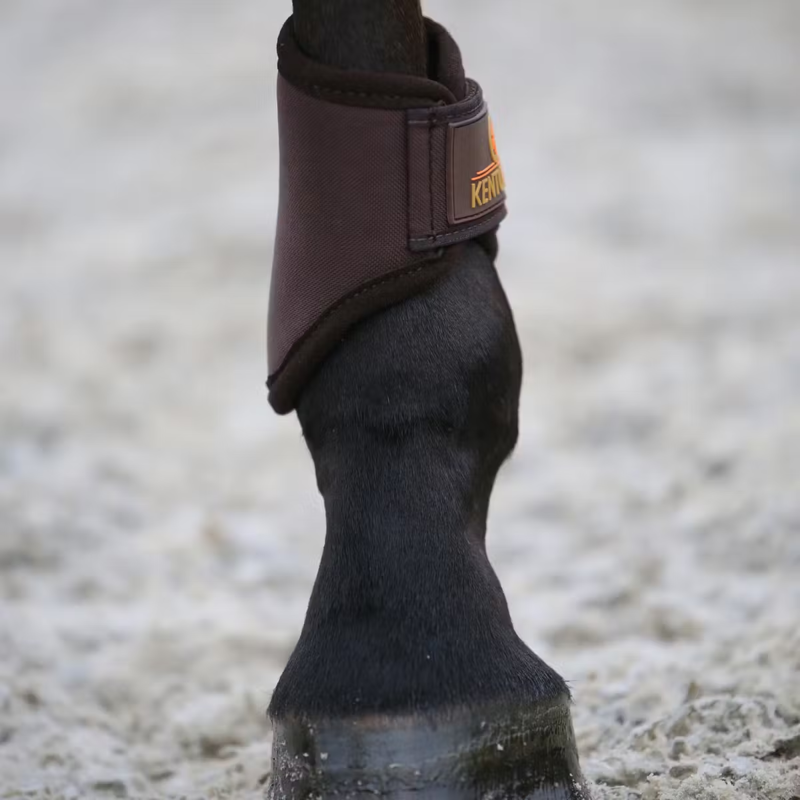 Kentucky 3D Spacer Brushing Boots - Brown-2