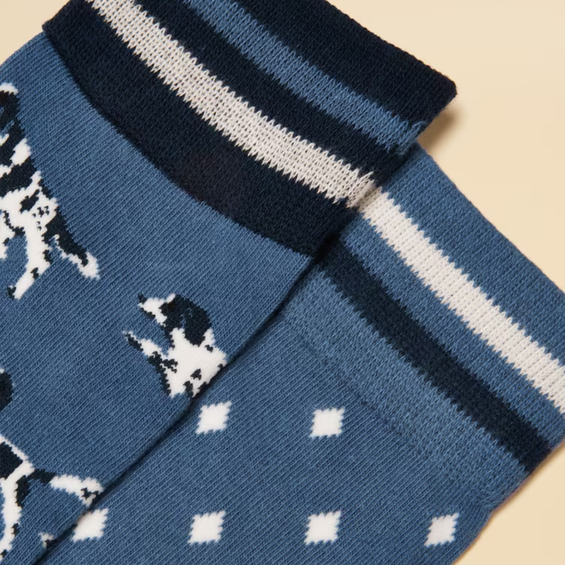Joules Men's Kingsbury 2 Pack Socks - Blue Dog-2