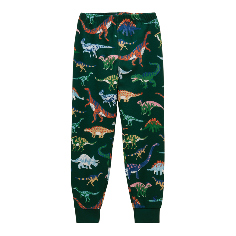 Joules Boys' Kipwell Pyjamas - Green Dino-2