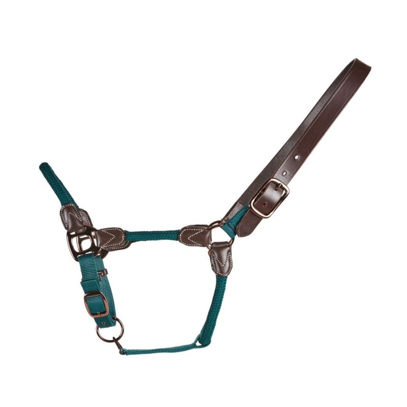 Cameo Rope Leather Headcollar and Leadrope - Evergreen-2