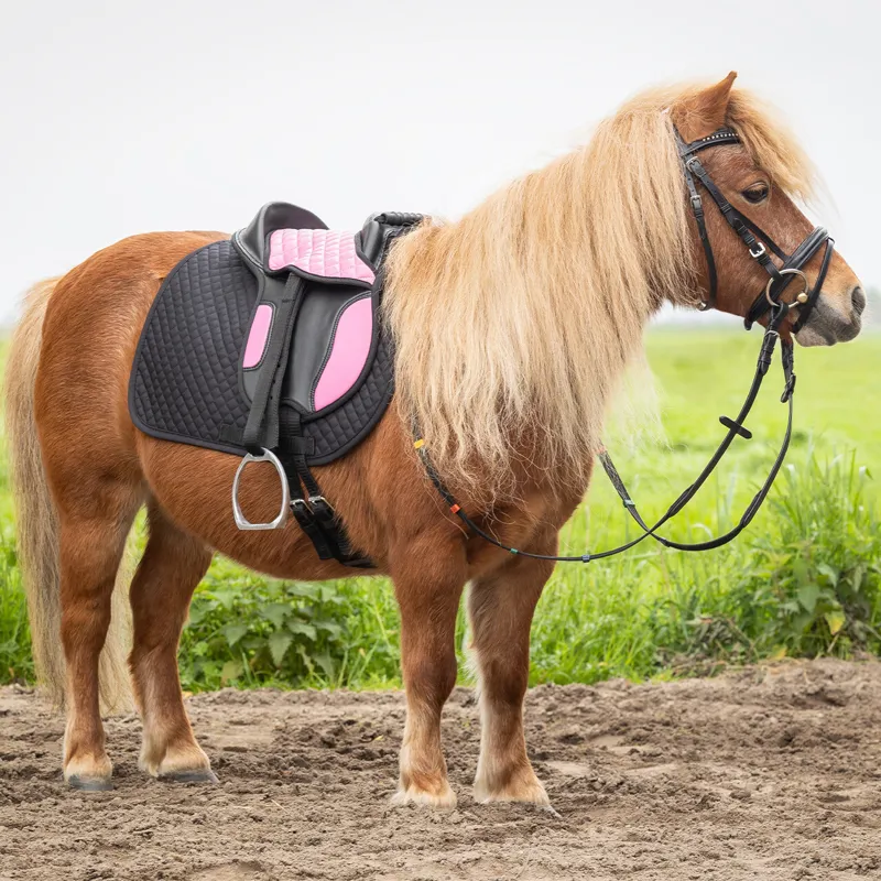 QHP Shetland Saddle - Pink-4