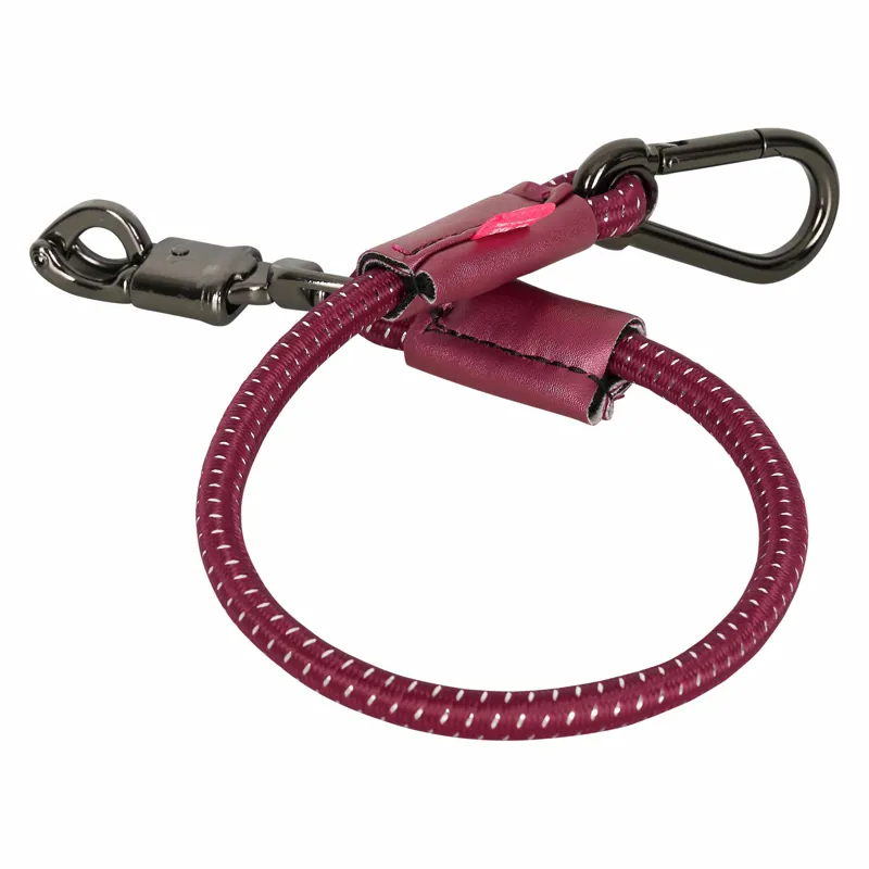 Imperial Riding Elastic Trailer Tie-4