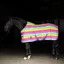 Imperial Riding Stripe Fleece Rug - Rainbow