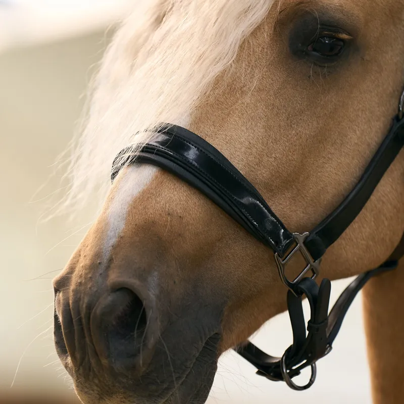 Imperial Riding Hera Headcollar - Black-2