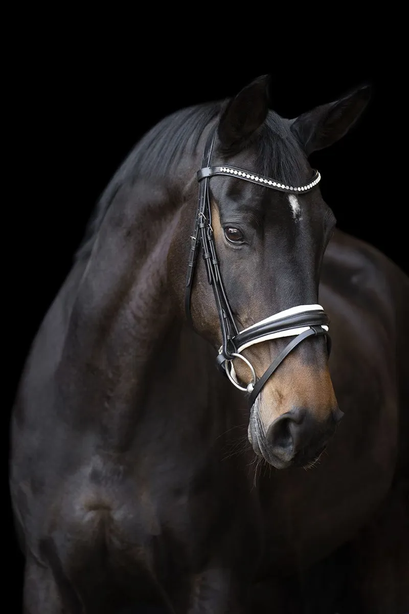Imperial Riding Fria Bridle - Black/White-1