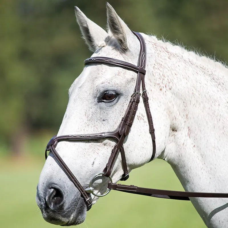 Shires Avignon Grackle Bridle - Havana