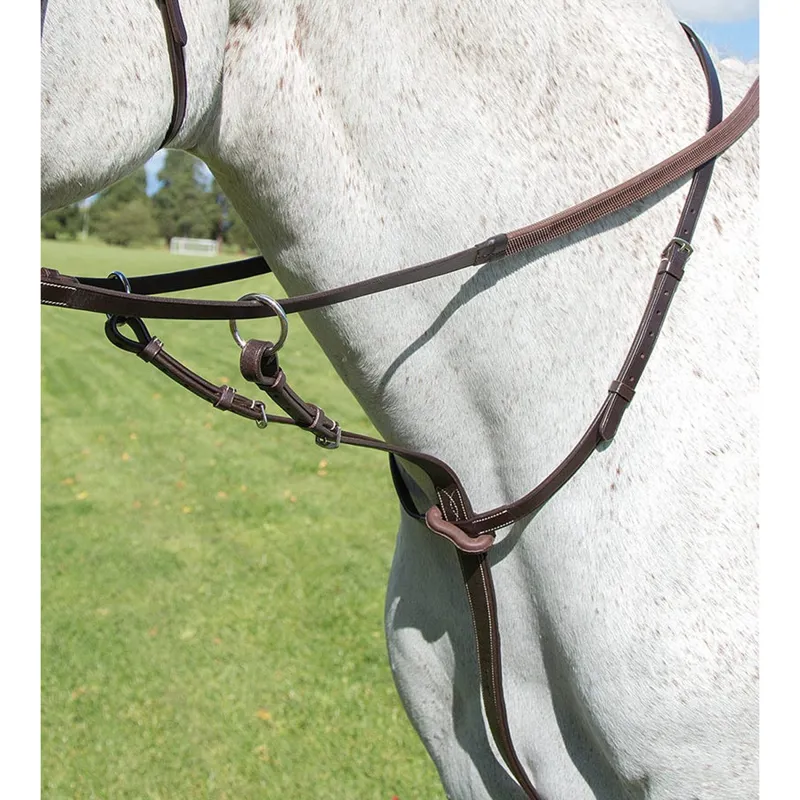Shires Avignon Running Martingale - Havanna