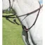 Shires Avignon Running Martingale - Havanna