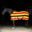 Imperial Riding Stripe Fleece Rug - Gold