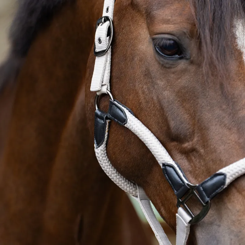 Imperial Riding Laura Headcollar - Grey/Sand-1