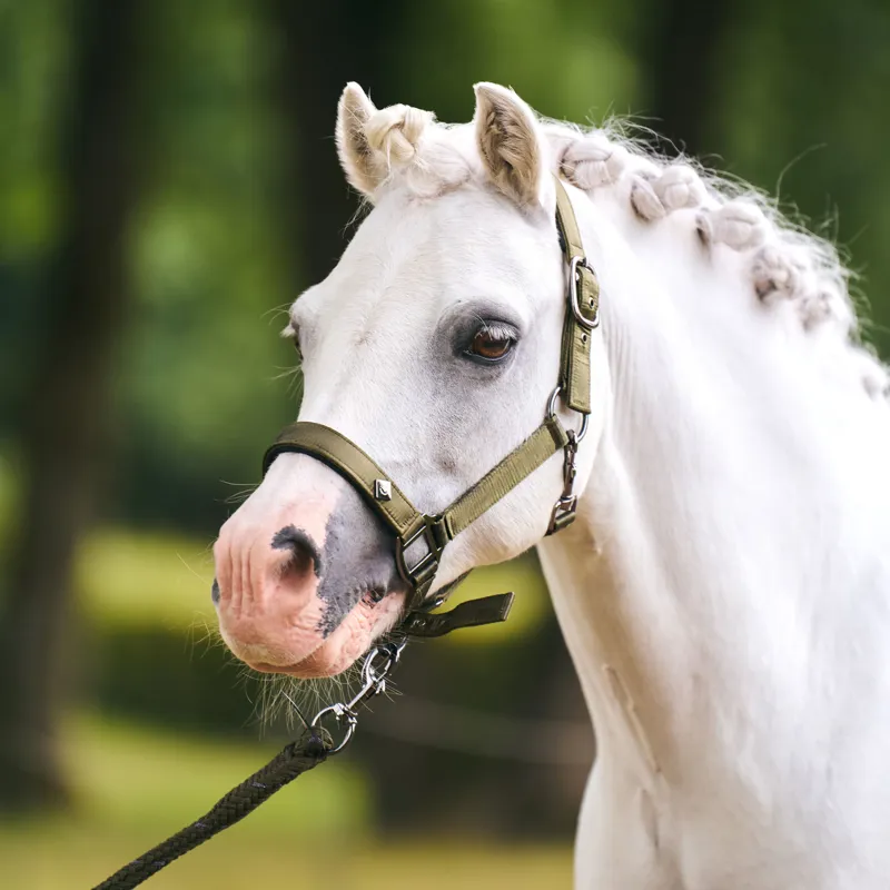 Imperial Riding Rebel Headcollar - Olive Green-1