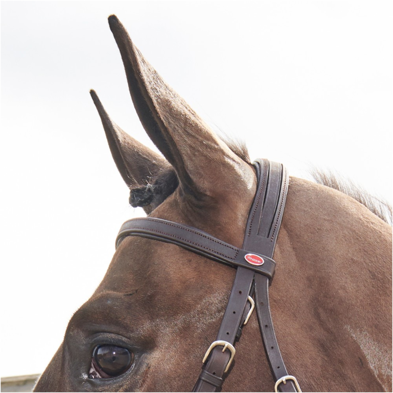 John Whitaker Ready to Ride Snaffle Bridle - Havana-1