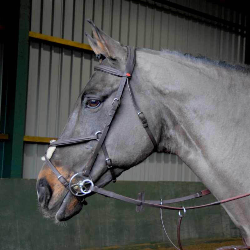 John Whitaker Ready to Ride Mexican Bridle - Havana-3
