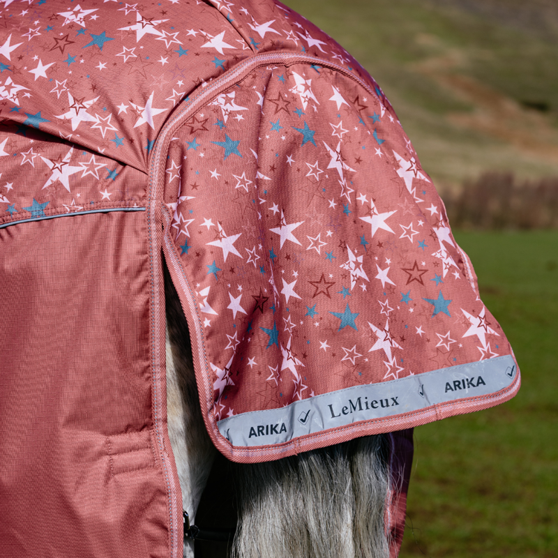 LeMieux Arika 200g Star Turnout Rug - Spiced Earth-3