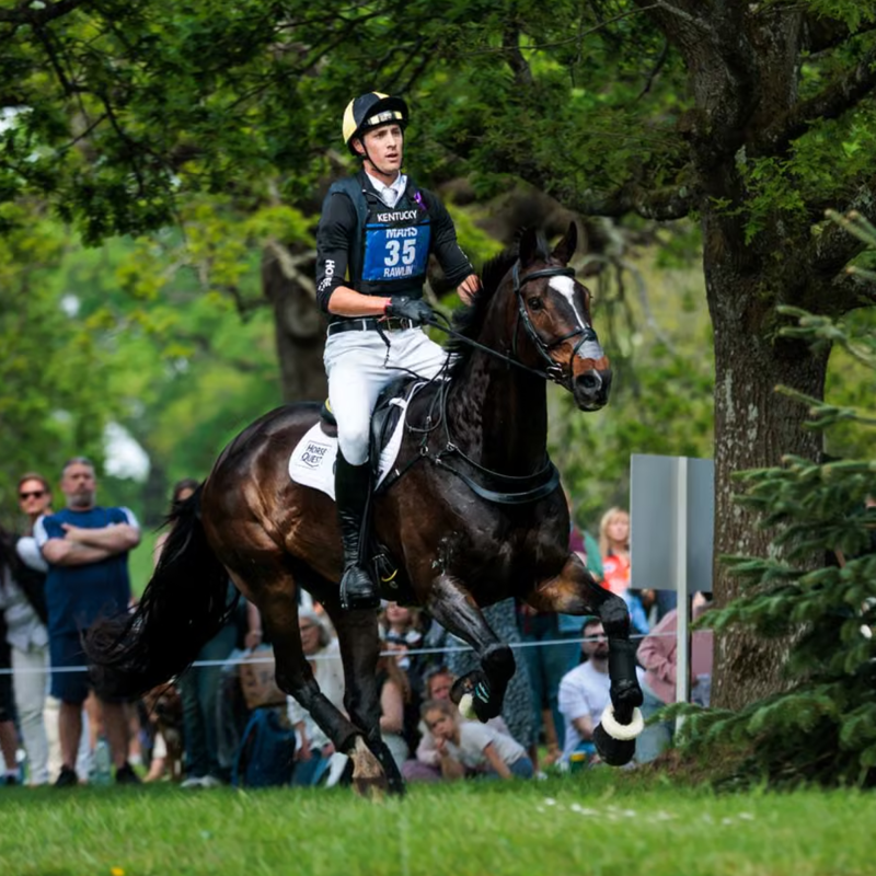 Kentucky Eventing Bib - Black-3