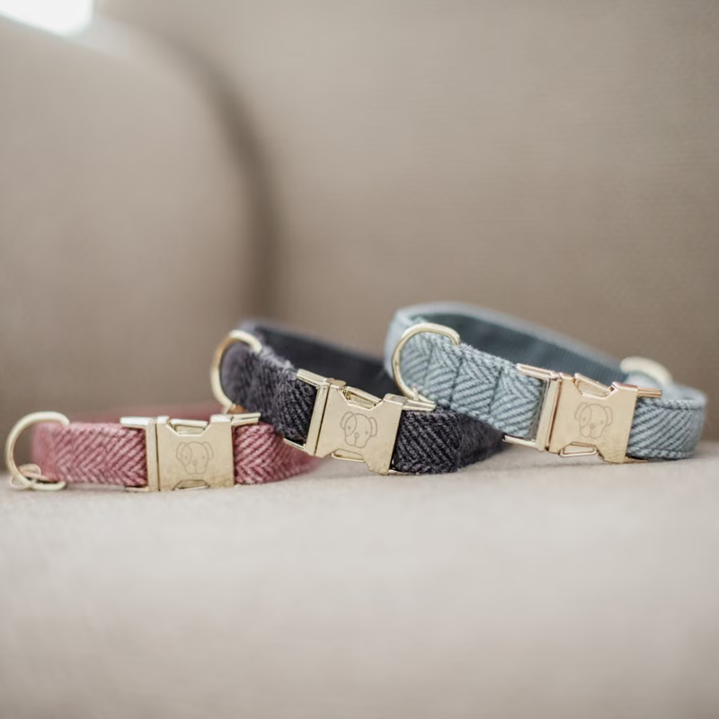 Kentucky Wool Dog Collar - Grey-3