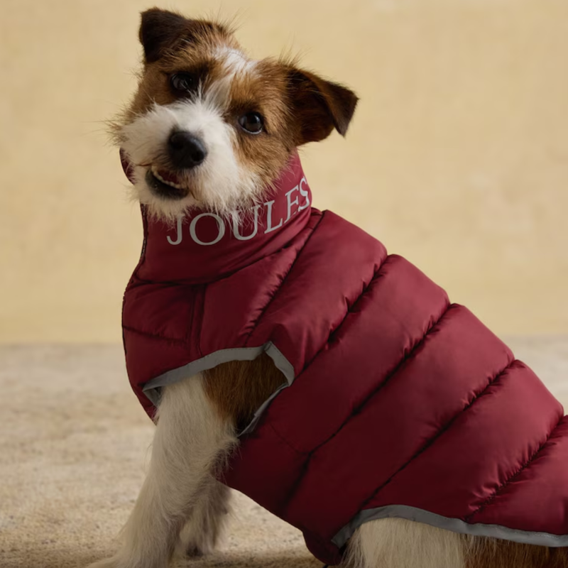 Joules Moorsdale Reversible Dog Puffer Coat - Navy-3