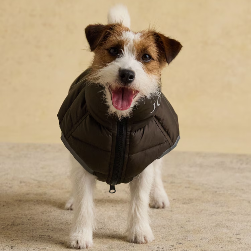 Joules Moorsdale Reversible Dog Puffer Coat - Ketchup-4