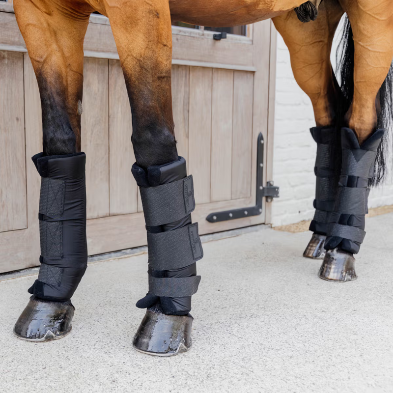 Kentucky Stable Boots PROtect Classic Front - Black-3