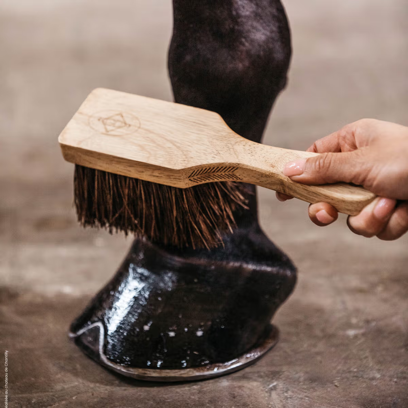 Grooming Deluxe Hoof Brush-3