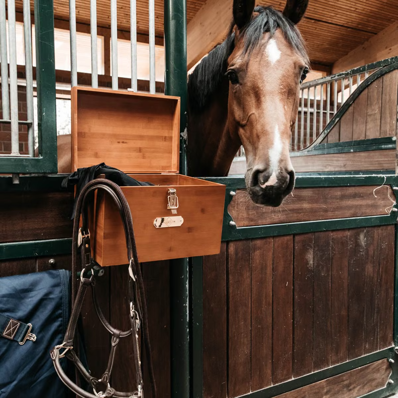 Grooming Deluxe Stable Tack Box-3