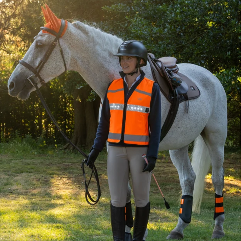 Woof Wear LED Hi Vis Riding Vest - Orange-3