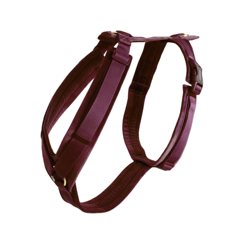 Kentucky Active Velvet Dog Harness - Bordeaux-3