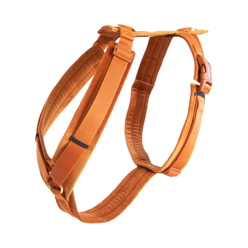 Kentucky Active Velvet Dog Harness - Orange-4
