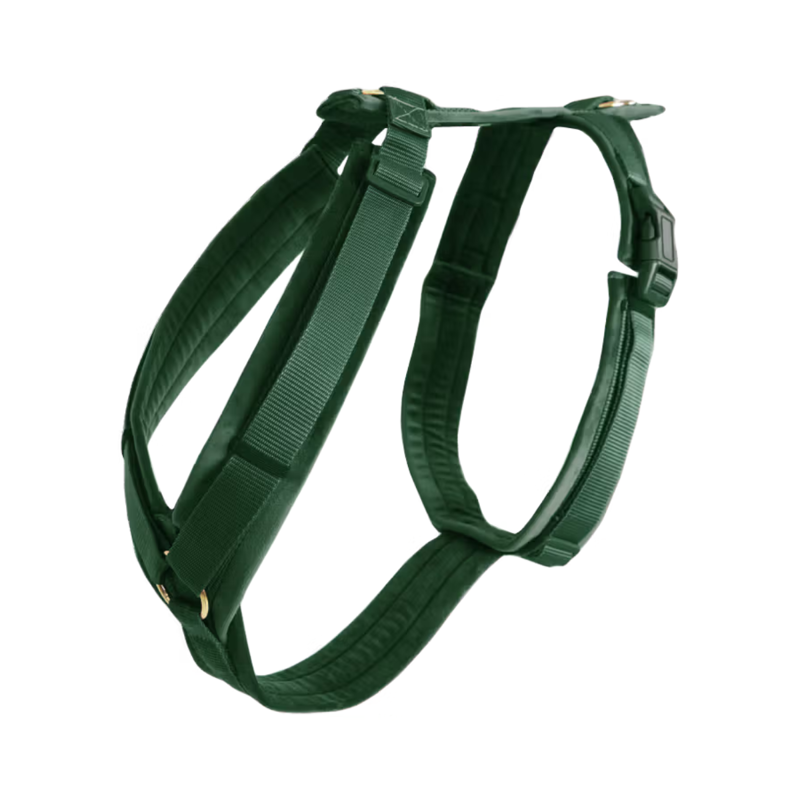 Kentucky Active Velvet Dog Harness - Pine Green-3