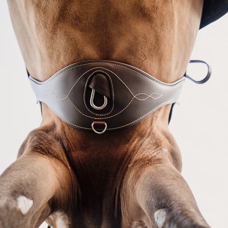 Kentucky Anatomic Girth - Brown-4
