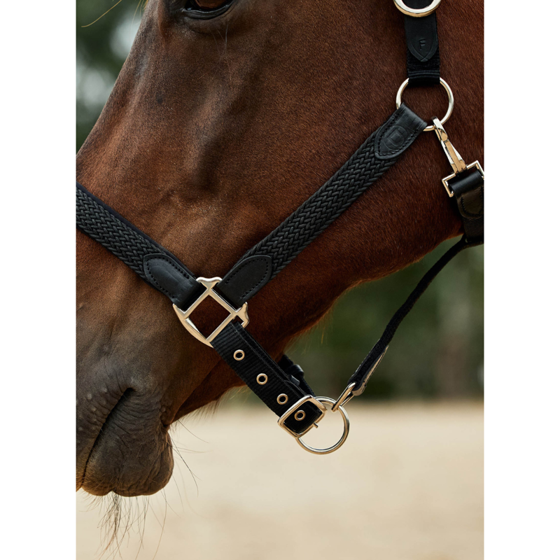 Dublin Braided Leather Headcollar - Black-3