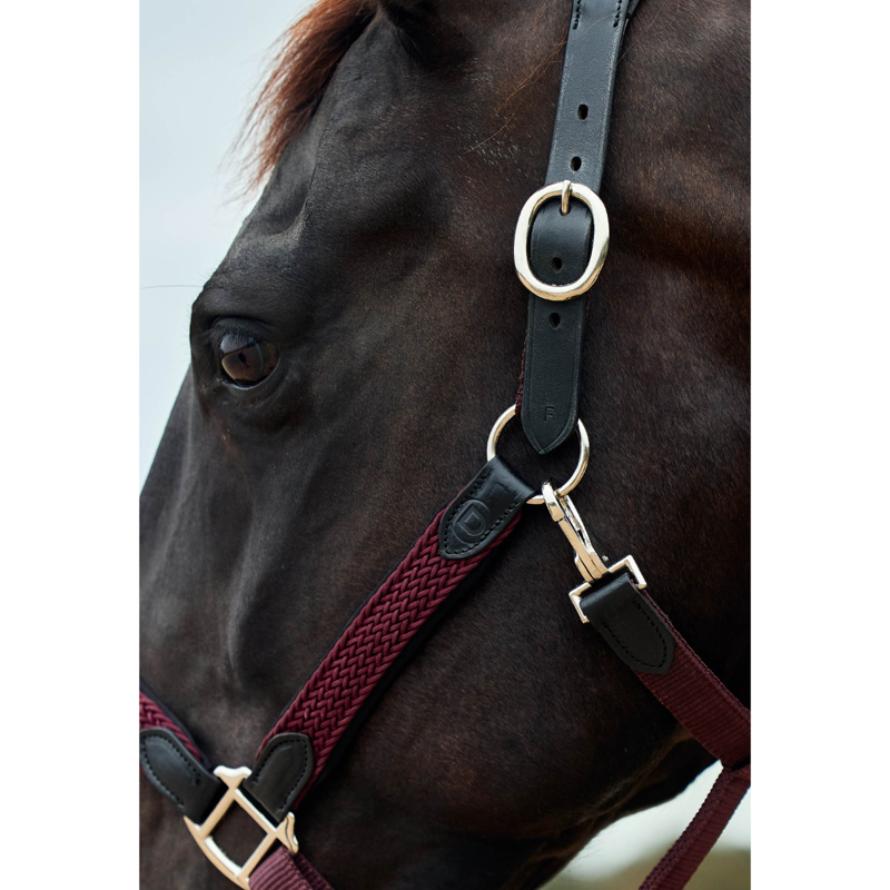 Dublin Braided Leather Headcollar - Burgundy-3