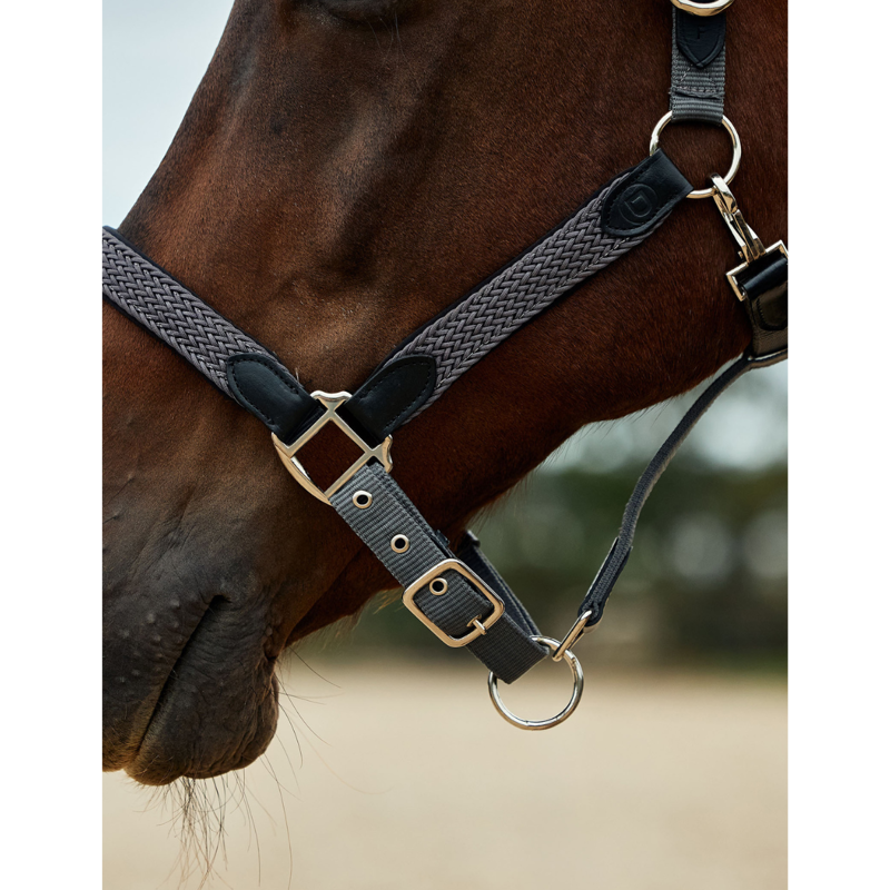 Dublin Braided Leather Headcollar - Charcoal-3