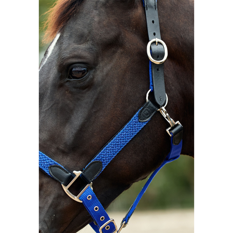 Dublin Braided Leather Headcollar - Cobalt-3