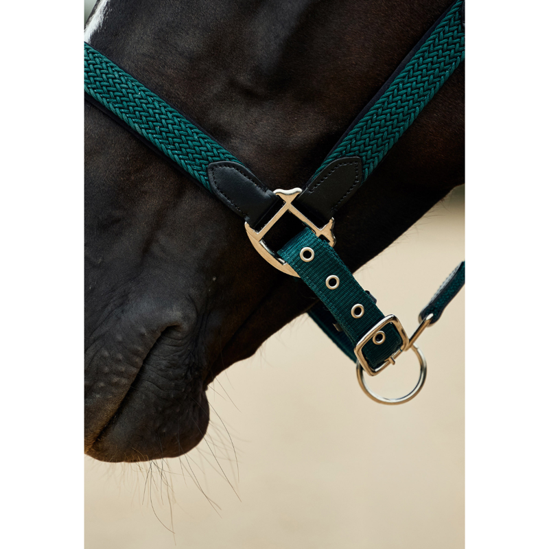 Dublin Braided Leather Headcollar - Hunter Green-3