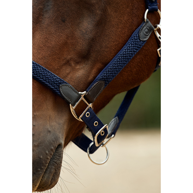 Dublin Braided Leather Headcollar - Navy-3