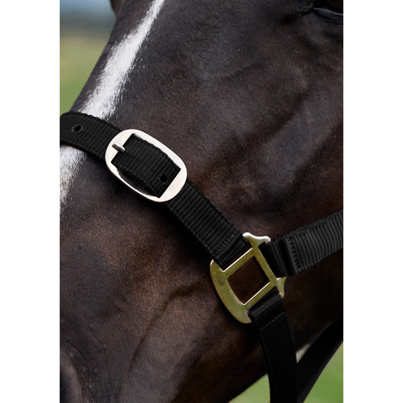 Dublin Everyday Headcollar - Black-3