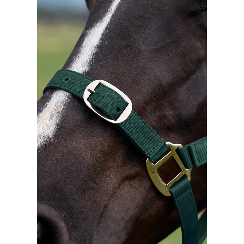 Dublin Everyday Headcollar - Green-3