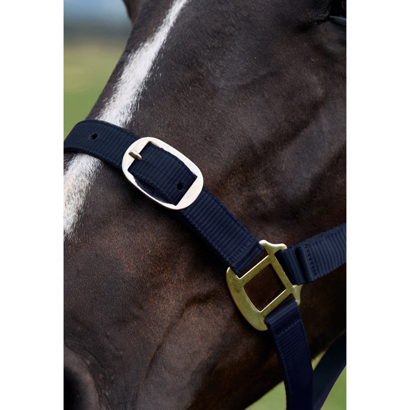 Dublin Everyday Headcollar - Navy-3