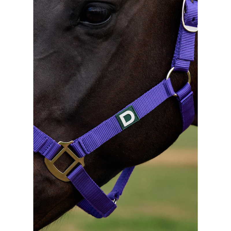 Dublin Everyday Headcollar - Purple-3