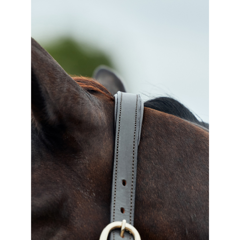 Dublin Leather Rope Headcollar - Hunter Green/Brown-4